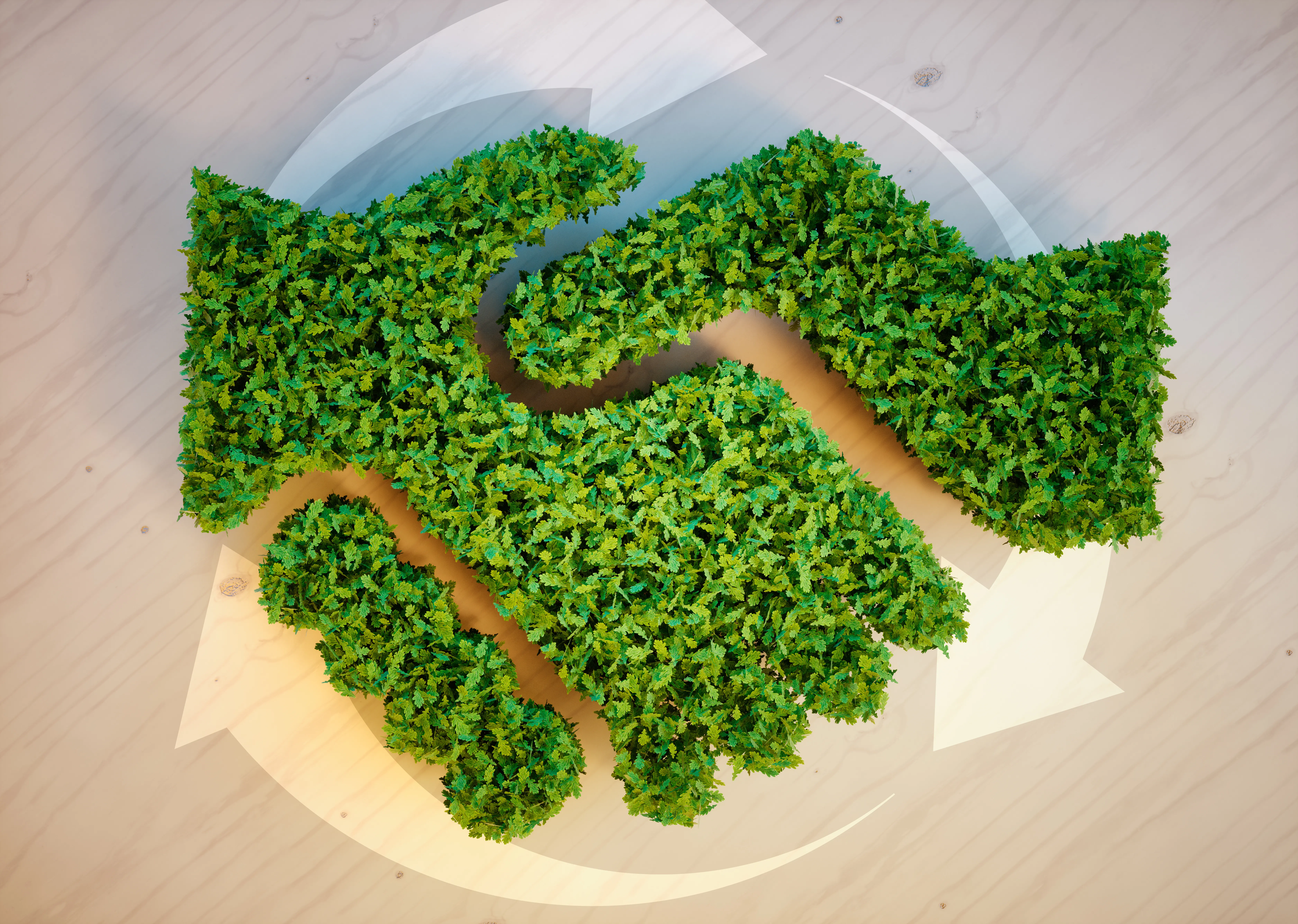 Commitment to Sustainability